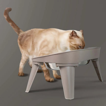 Raised Stand Elevated Dog Feeder Non-Slip and No Spill Design, Suitable for Improve Posture and Comfort