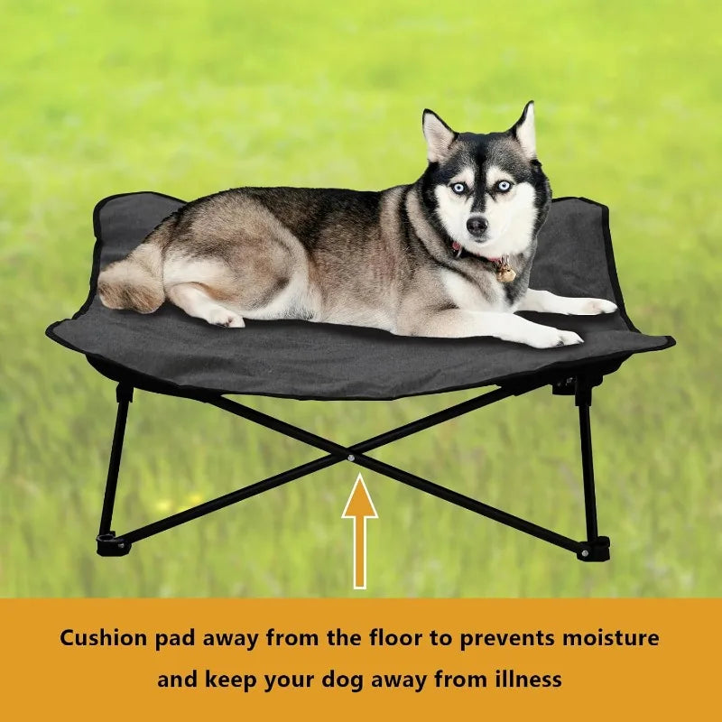 Elevated Dog Portable Cot, Folding, Padded comes with a Carrying Bag Included