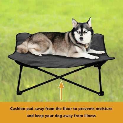 Elevated Dog Portable Cot, Folding, Padded comes with a Carrying Bag Included