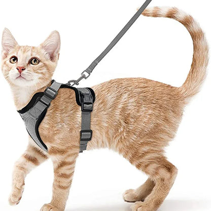 Escape Proof Cat Harness and Leash Set, Soft Adjustable Vest for Walking