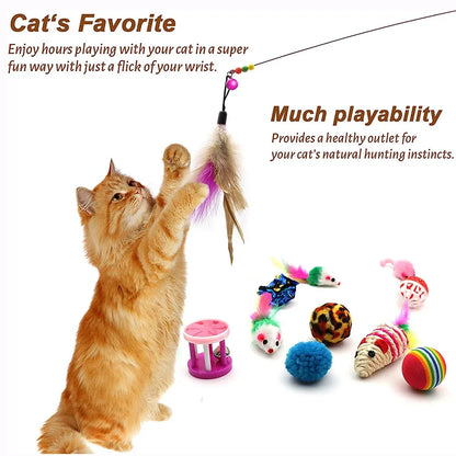 Cat Toy Bundles!