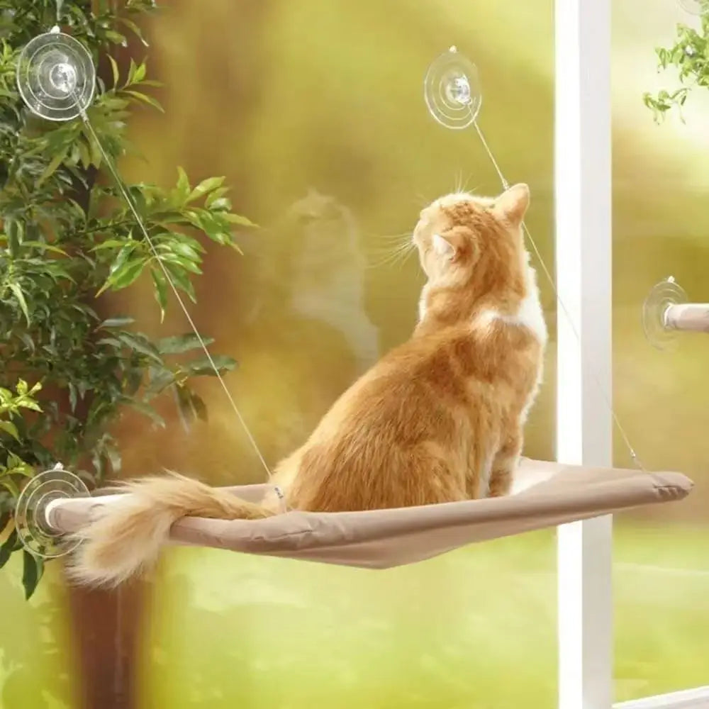 Cat Window Hammock, suction cups