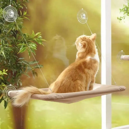 Cat Window Hammock, suction cups