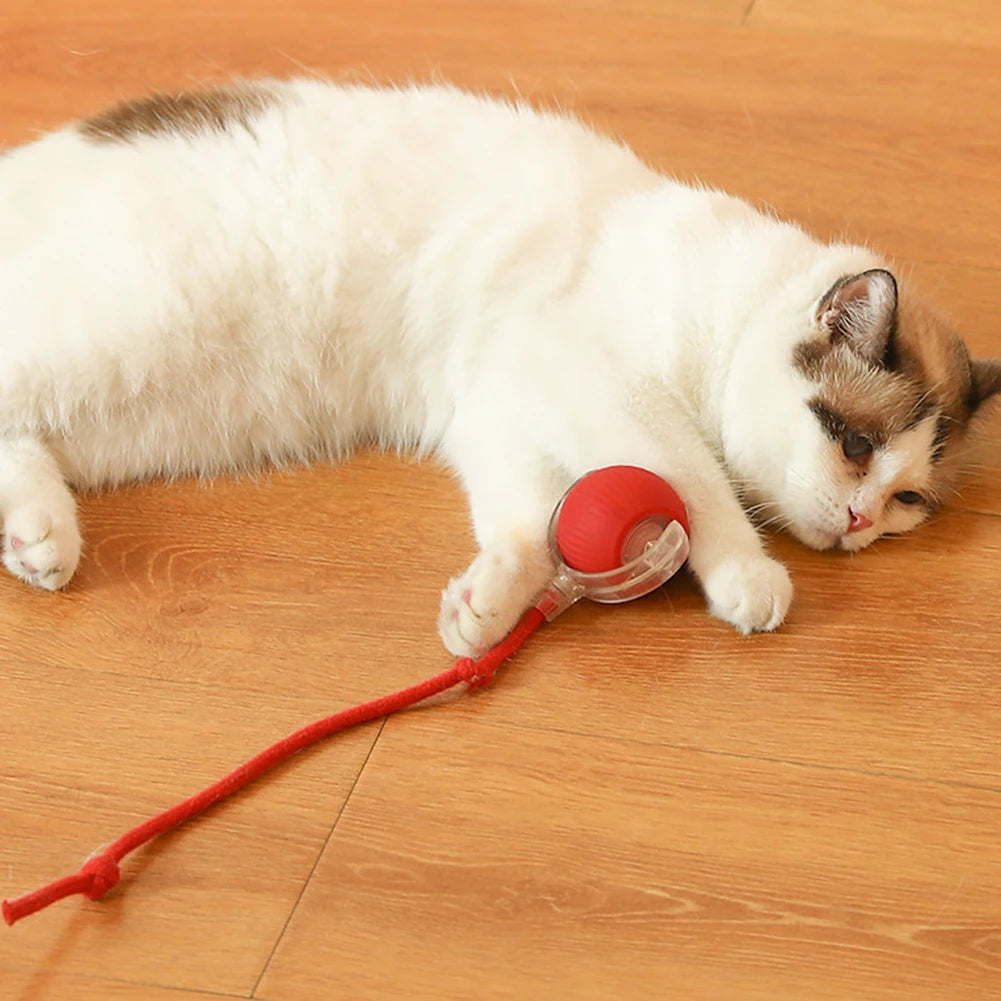 Cat Interactive Ball Toys Automatic Rolling Ball Rechargeable Self Rotating