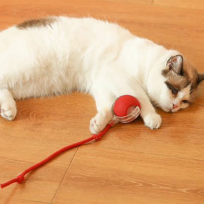 Cat Interactive Ball Toys Automatic Rolling Ball Rechargeable Self Rotating