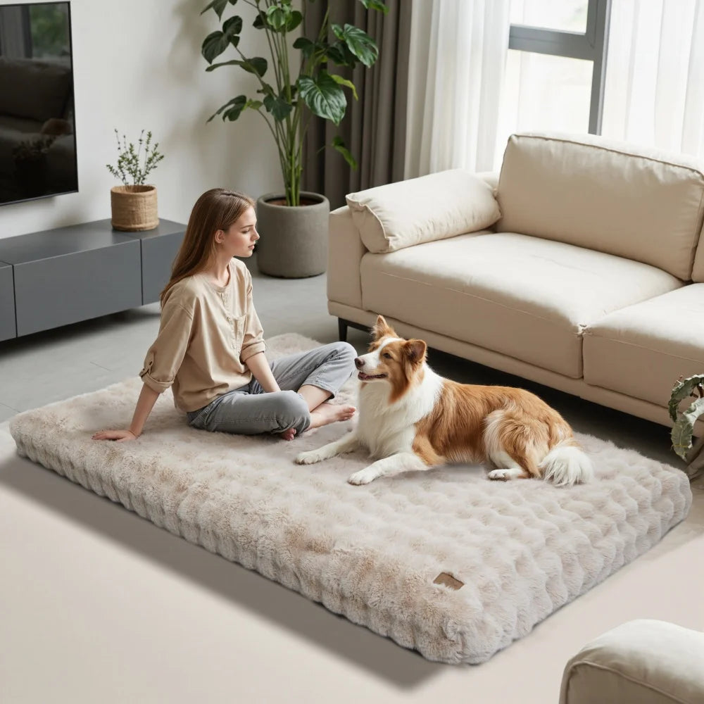 Ultra Plush Dog Bed Soft Pet Cushion with Washable Mat