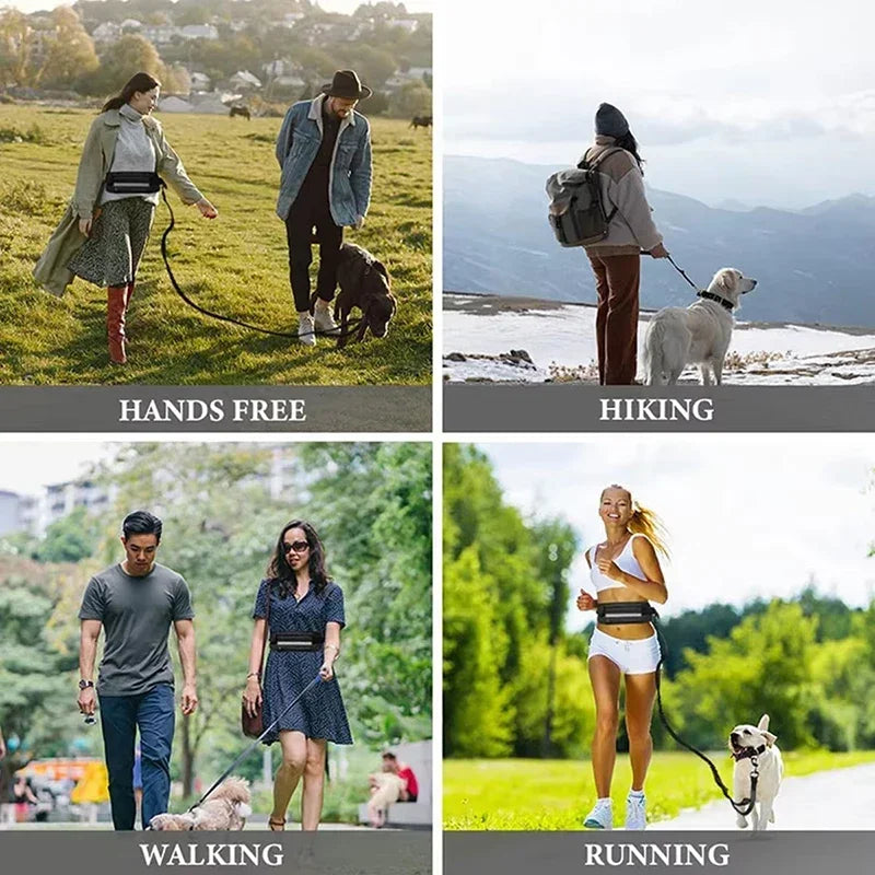 Hands Free Dog Leash for Running, Walking