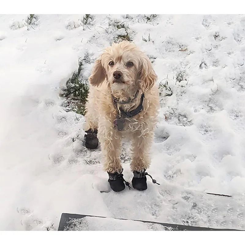 4Pcs Waterproof Dog Boots for Small Dogs - Non-slip Sole, Adjustable Drawstring, Soft Breathable Pet Shoes for Puppies