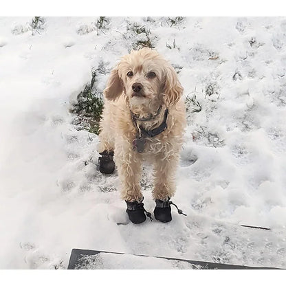 4Pcs Waterproof Dog Boots for Small Dogs - Non-slip Sole, Adjustable Drawstring, Soft Breathable Pet Shoes for Puppies