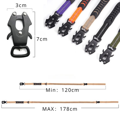Reflective Shock Absorbing Pet Leash with Car Seatbelt