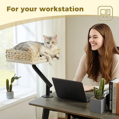 Cat Desk Bed, 360° Rotatable Cat Bed Stand for Indoor Cats