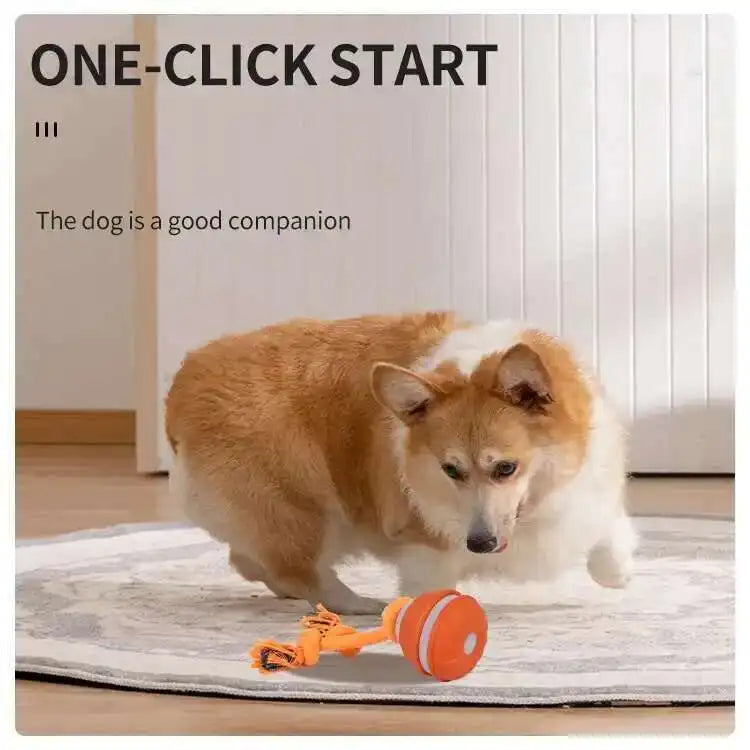 Ball With Motion Activated Automatic Moving Squeaky Toy Ball