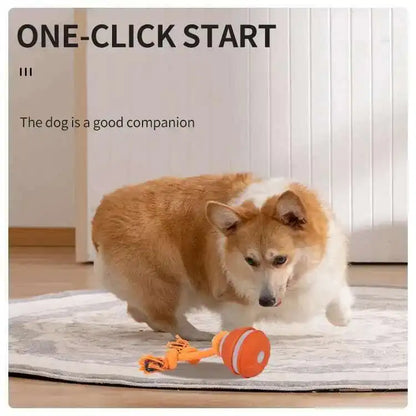 Ball With Motion Activated Automatic Moving Squeaky Toy Ball