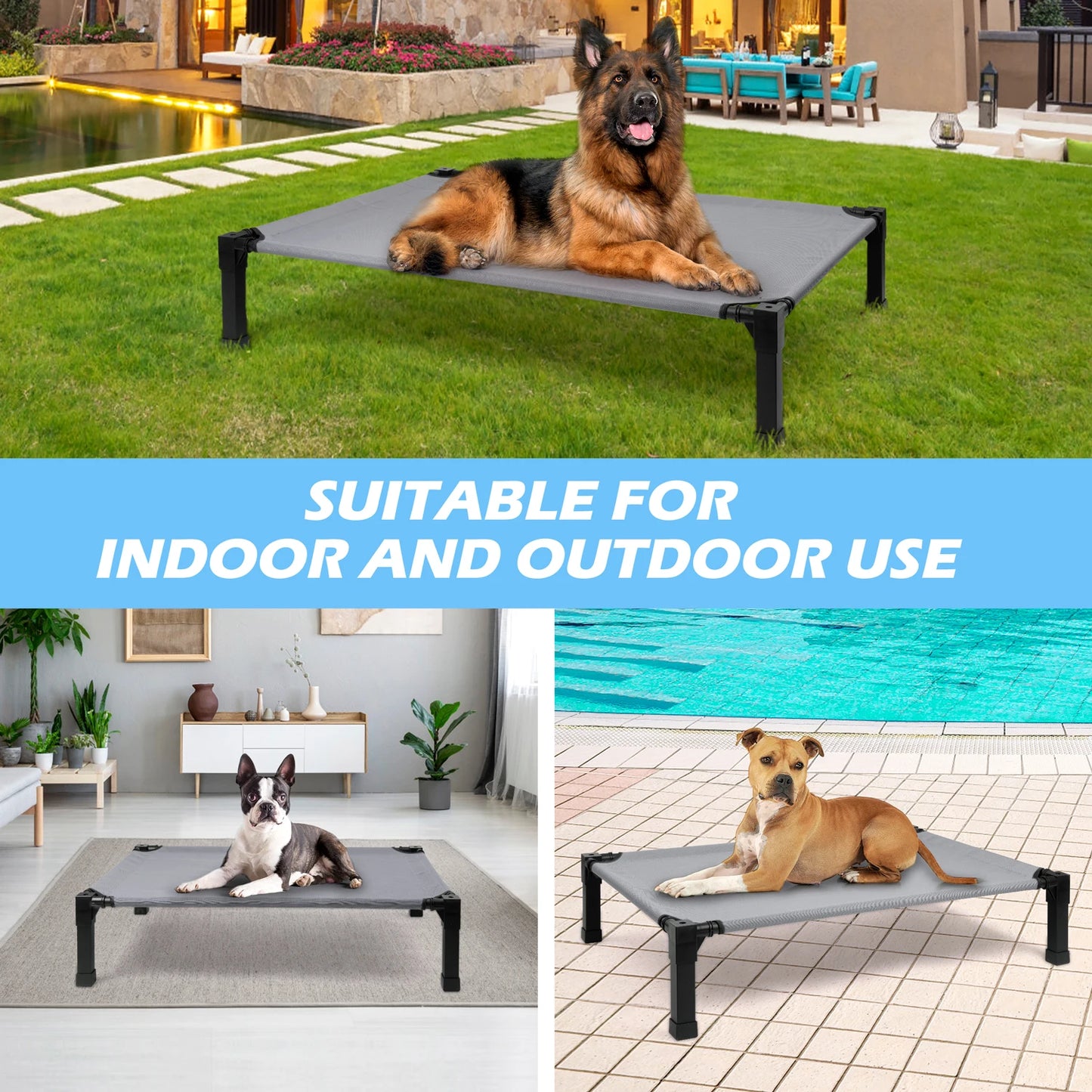 Elevated Pet Bed / 7 Colors and 4 Sizes