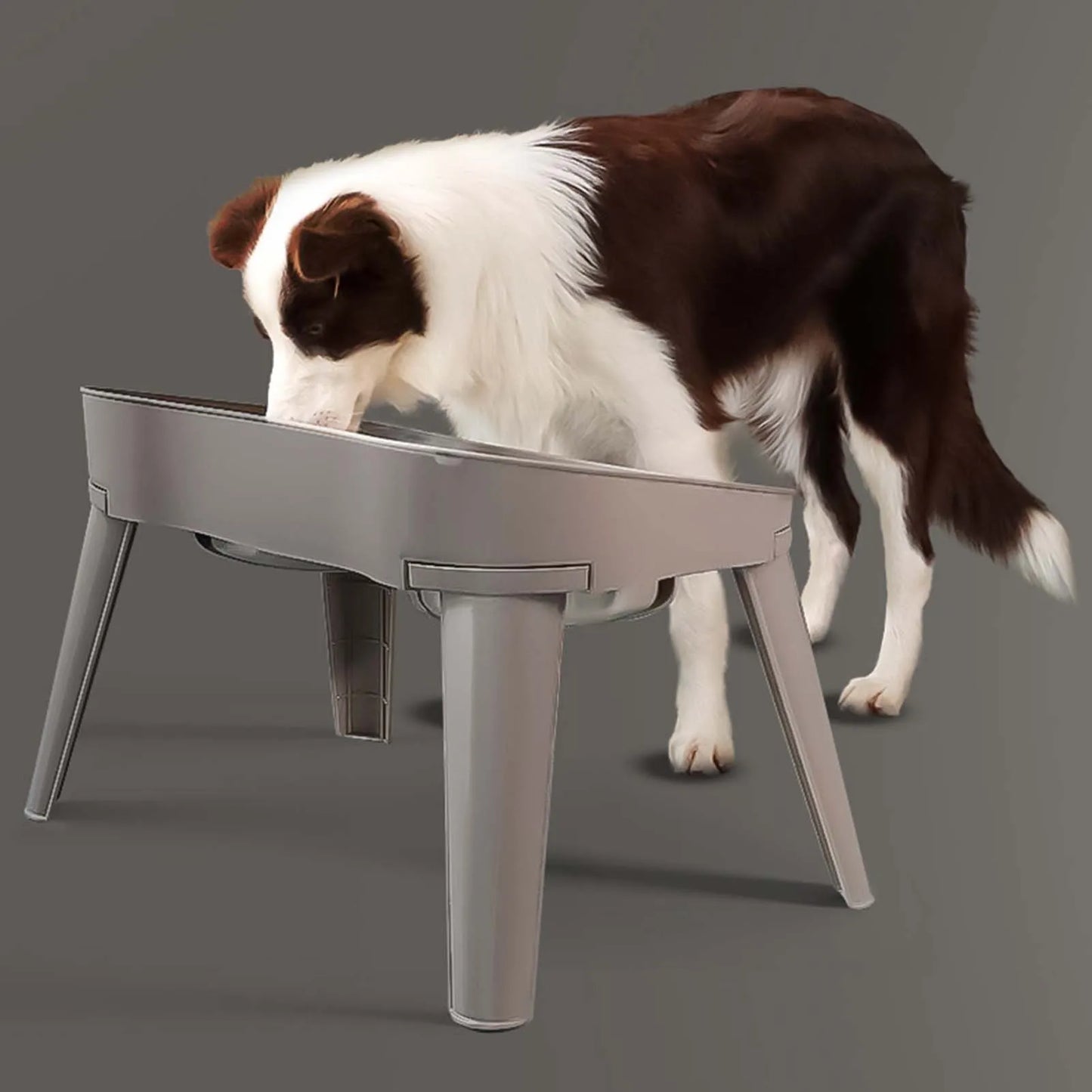 Raised Stand Elevated Dog Feeder Non-Slip and No Spill Design, Suitable for Improve Posture and Comfort