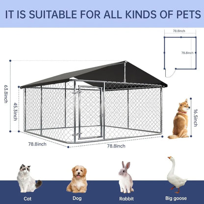 80x 80 Outdoor Dog Enclosure