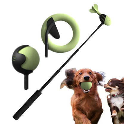 Throwing Pole