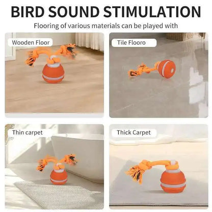 Ball With Motion Activated Automatic Moving Squeaky Toy Ball