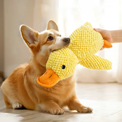 Indestructible Chew Squeak Toy