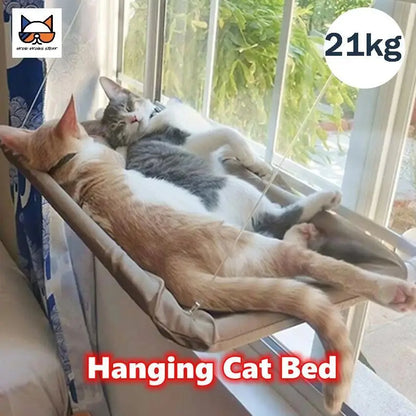Cat Window Hammock, suction cups
