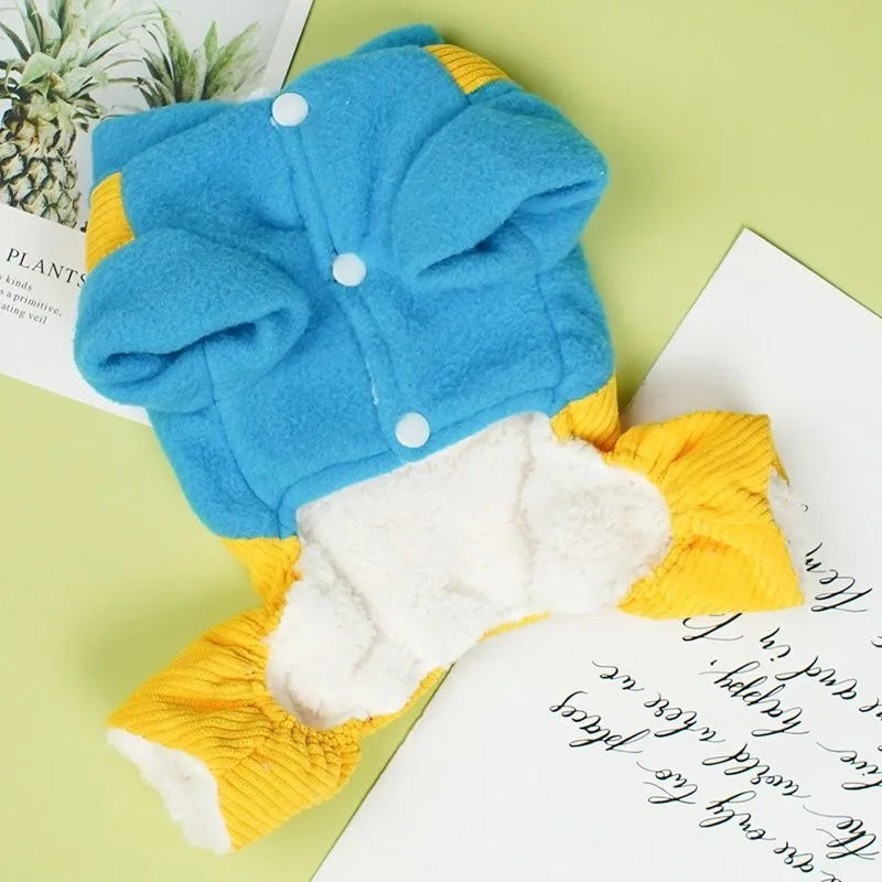 Cat Clothing for Winter