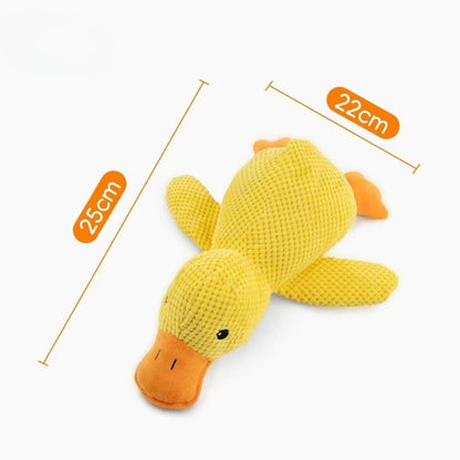 Indestructible Chew Squeaky Toy