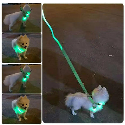 Adjustable LED Pet Harness USB Rechargeable Light Up Dog Harness