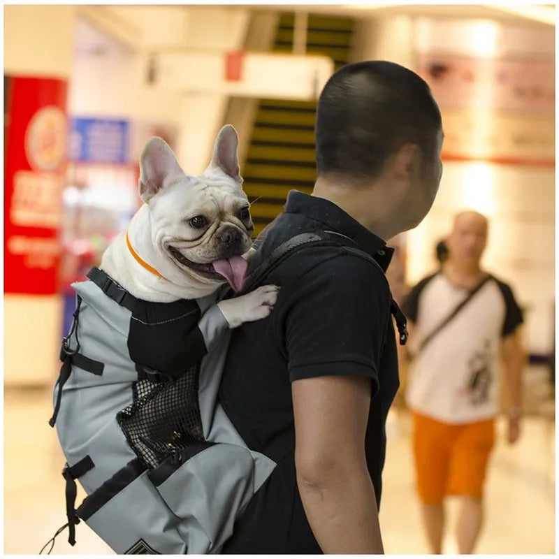 Outdoor Ventilated Pet Dog Carrier Backpack, Breathable Travel Bag for Hiking, Biking & Motorcycle