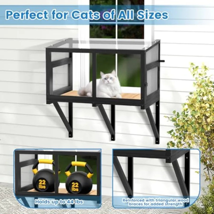 Cat Window Box
