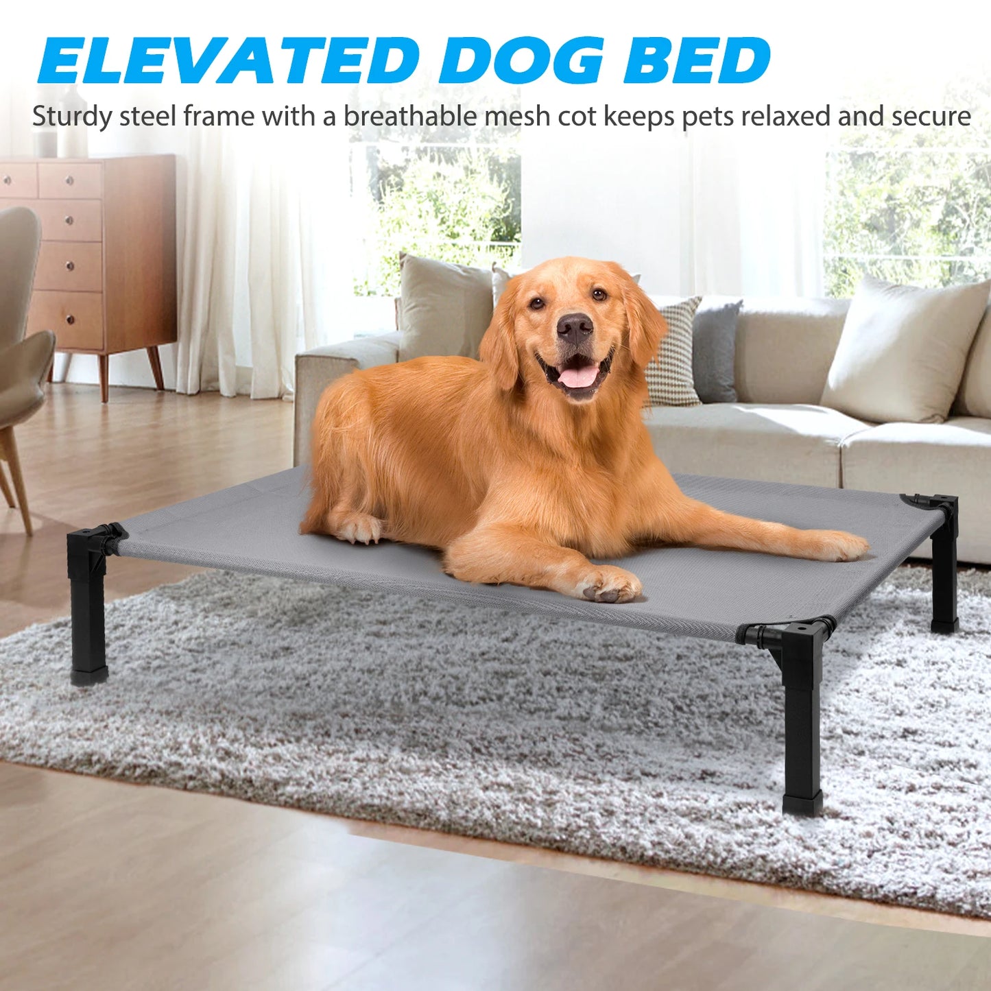 Elevated Pet Bed / 7 Colors and 4 Sizes