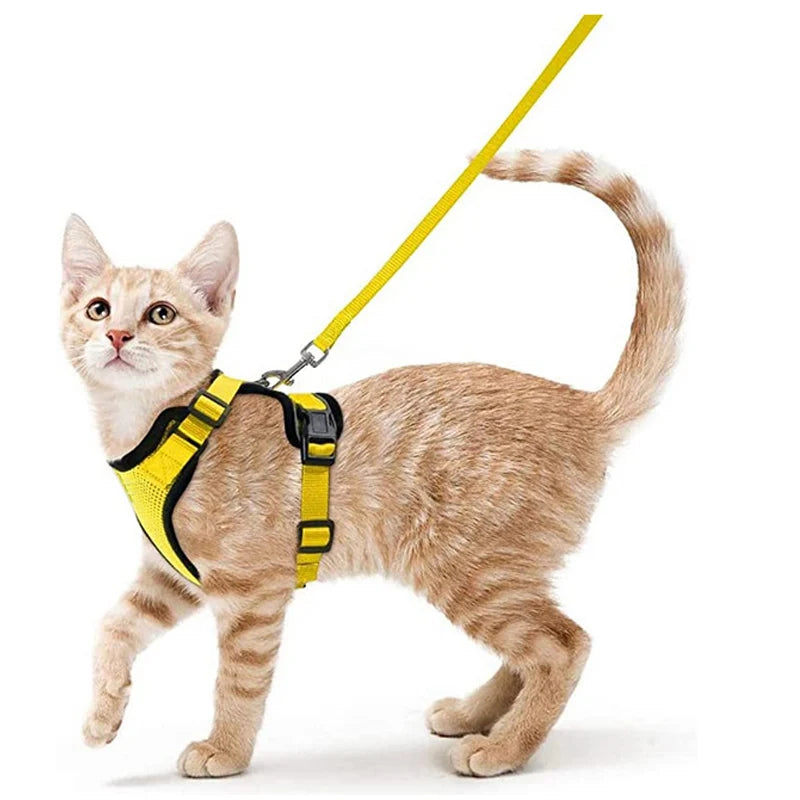 Escape Proof Cat Harness and Leash Set, Soft Adjustable Vest for Walking
