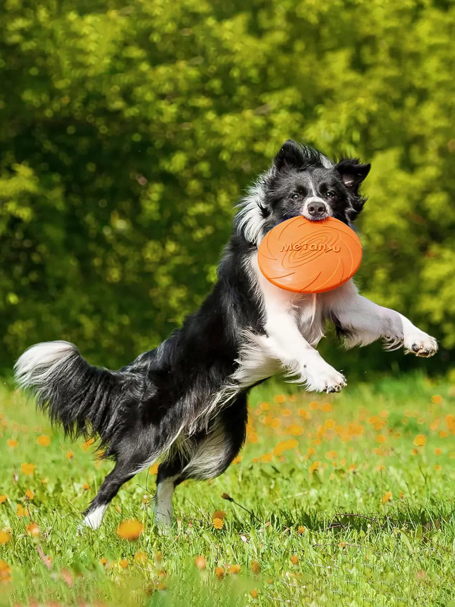 Bite Resistant Flying Disc