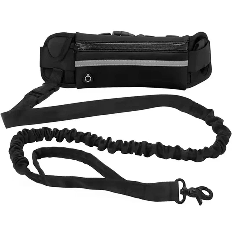 Hands Free Dog Leash for Running, Walking