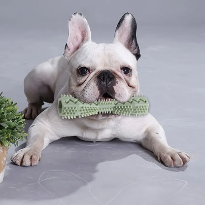 Durable Dog Chew Sticks Toothbrush Soft, Teeth Cleaning Massage Bite Resistant Non-Toxic