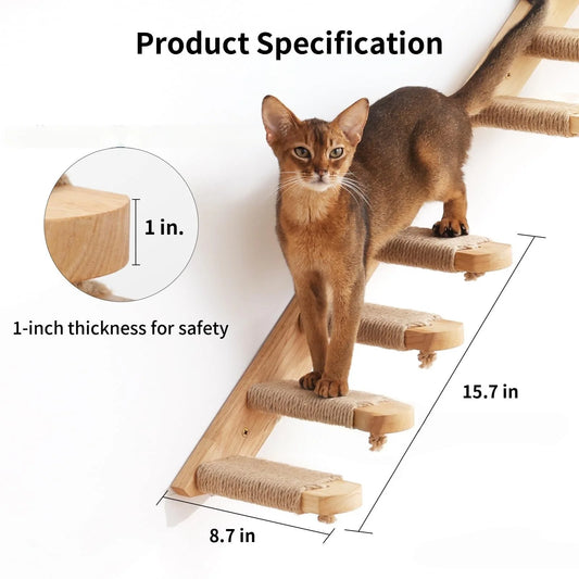 Cat Climbing Stairs