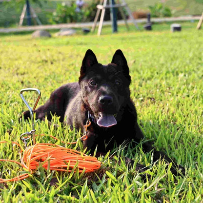 30FT Heavy Duty Dog Tie Out Cable with Ground Stake Outdoor for Large Dogs