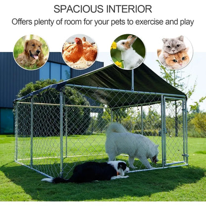 80x 80 Outdoor Dog Enclosure