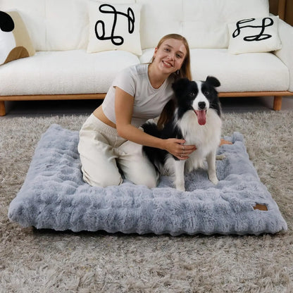 Ultra Plush Dog Bed Soft Pet Cushion with Washable Mat