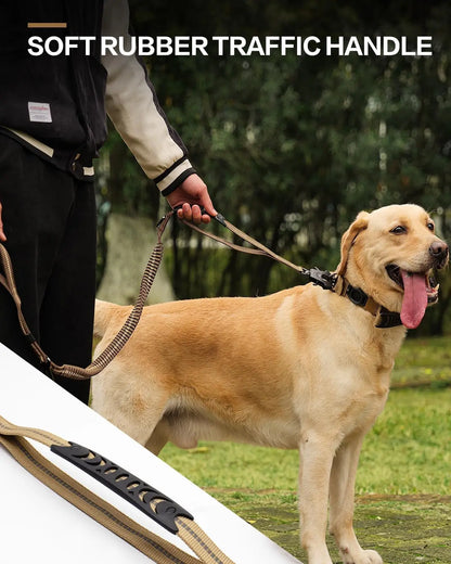 Reflective Shock Absorbing Pet Leash with Car Seatbelt
