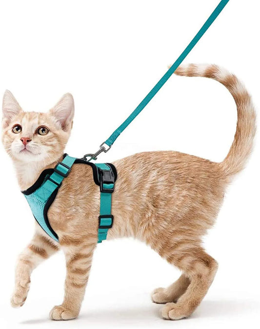 Escape Proof Cat Harness and Leash Set, Soft Adjustable Vest for Walking