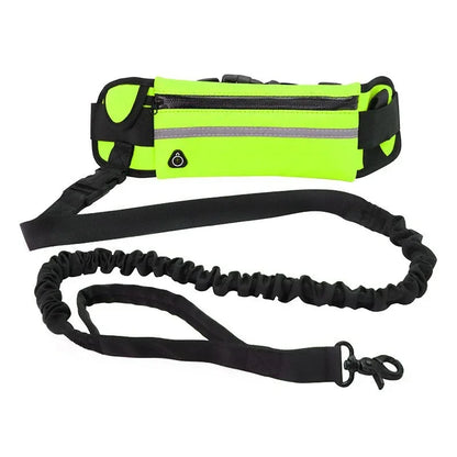 Hands Free Dog Leash for Running, Walking