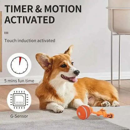 Ball With Motion Activated Automatic Moving Squeaky Toy Ball