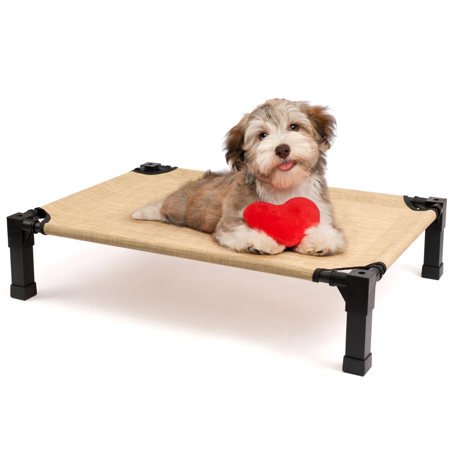 Elevated Pet Bed / 7 Colors and 4 Sizes