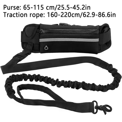 Hands Free Dog Leash for Running, Walking