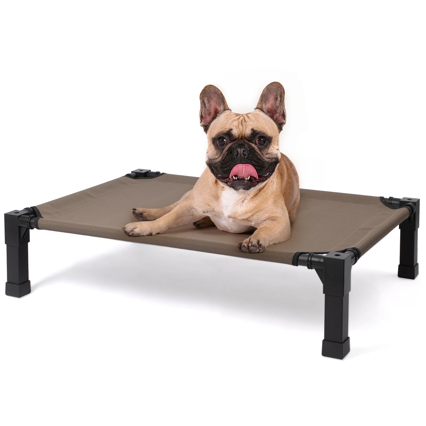 Elevated Pet Bed / 7 Colors and 4 Sizes