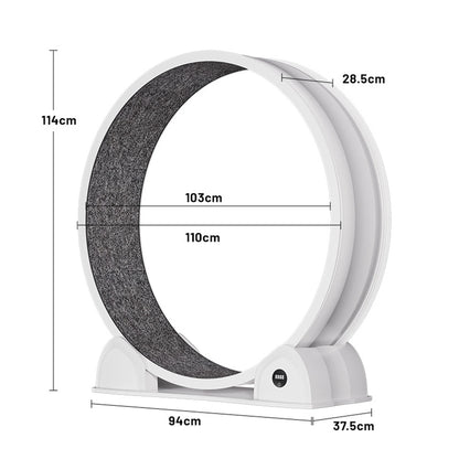 Cat Exercise Wheel for Indoor Cats, ABS, Quiet with Pedometer