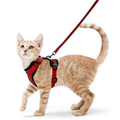 Escape Proof Cat Harness and Leash Set, Soft Adjustable Vest for Walking