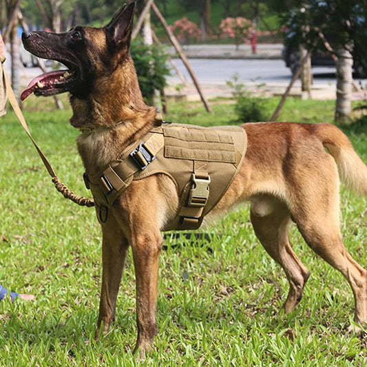 Tactical Large Dog Harness