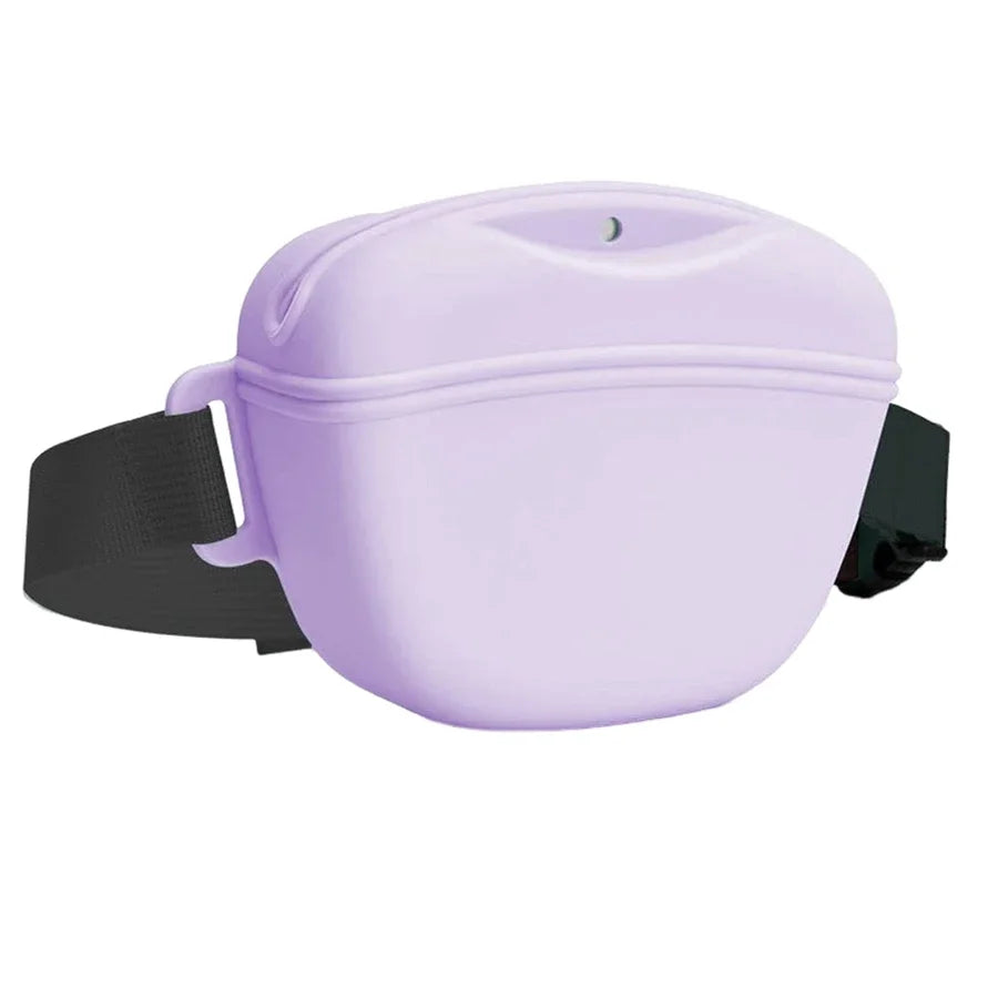Silicone Dogs Treat Bag
