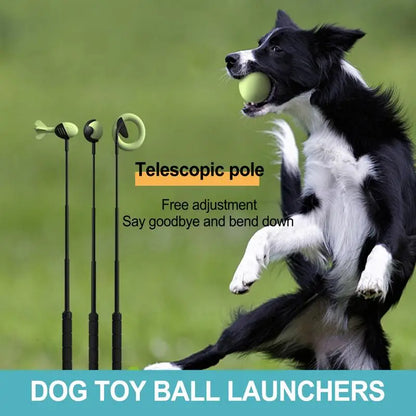 Throwing Pole